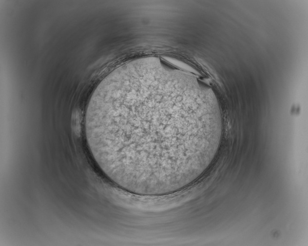 X0000096440026200802211221