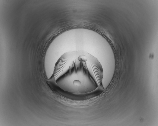 X0000096440027200802211221