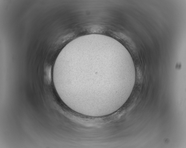 X0000096440028200802211221