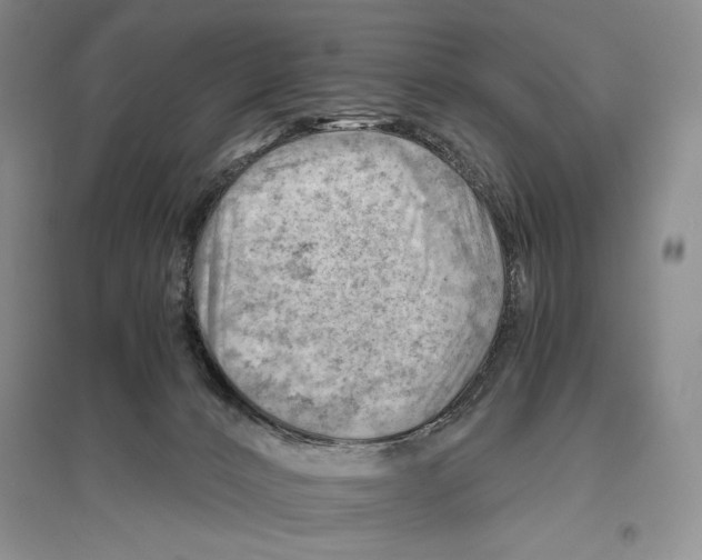 X0000096440032200802211221