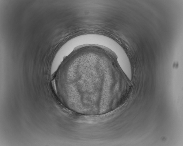 X0000096440033200802211221