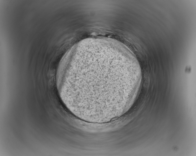 X0000096440034200802211221