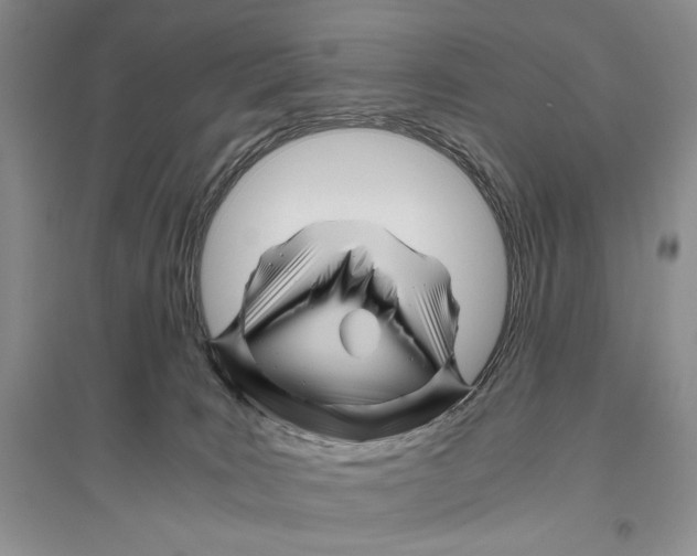 X0000096440035200802211221