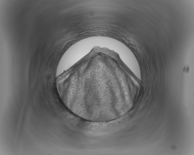 X0000096440037200802211221