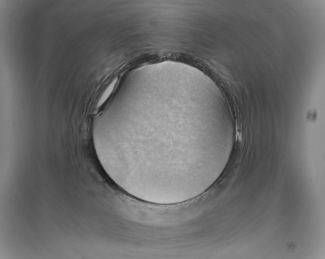 X0000096440039200802211221