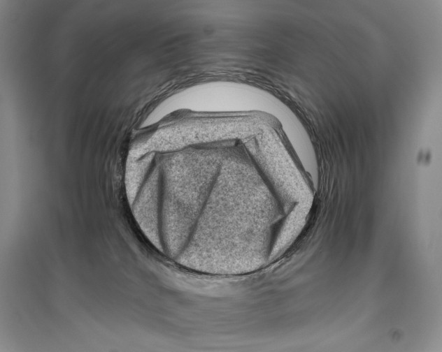 X0000096440040200802211221