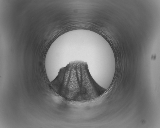 X0000096440041200802211221