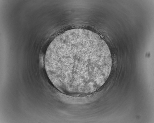 X0000096440042200802211221