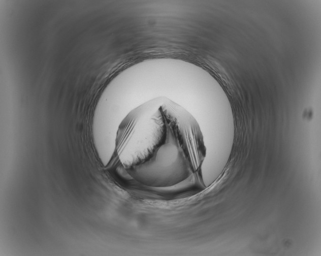 X0000096440045200802211221