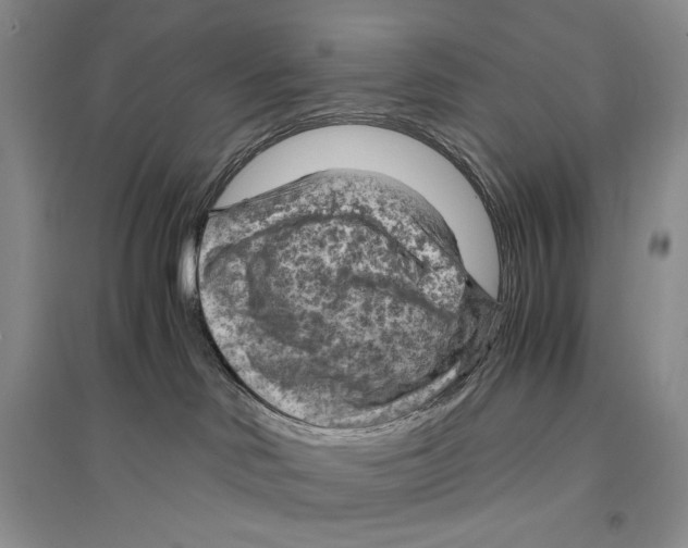 X0000096440046200802211221