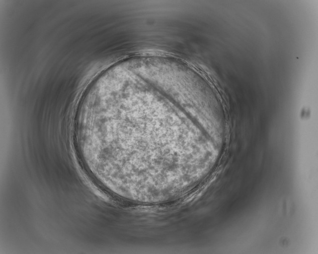 X0000096440049200802211220