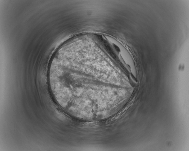 X0000096440050200802211220