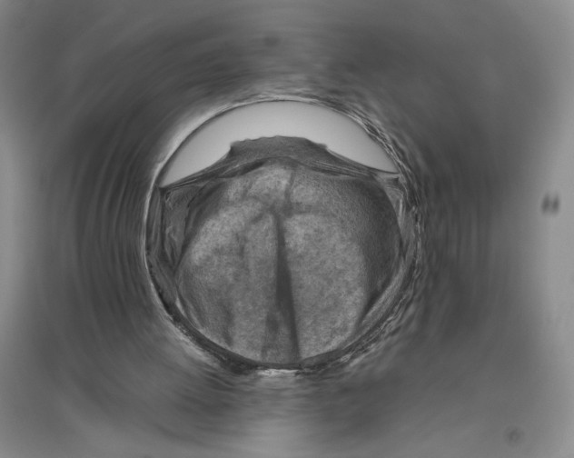 X0000096440052200802211220