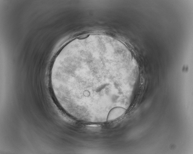 X0000096440053200802211220