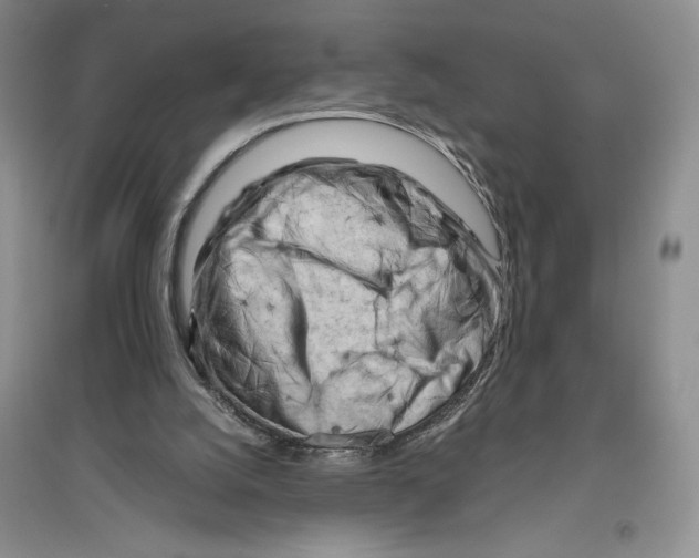 X0000096440056200802211220