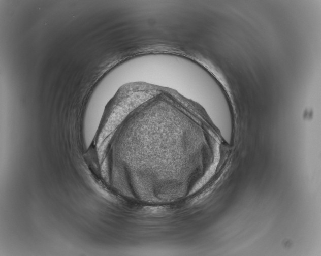 X0000096440057200802211220