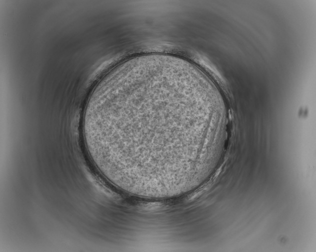 X0000096440058200802211220