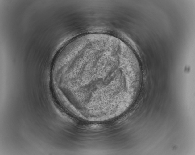 X0000096440059200802211220