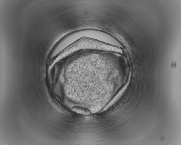 X0000096440060200802211220