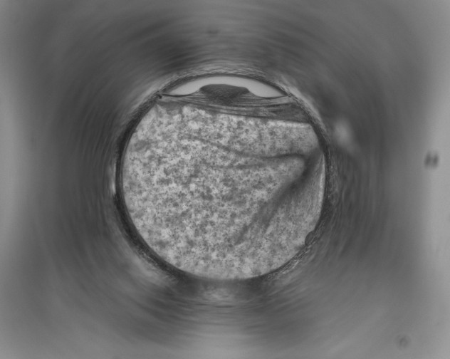 X0000096440062200802211220