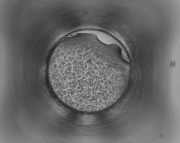 X0000096440063200802211220