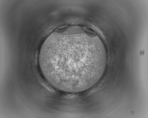 X0000096440065200802211220