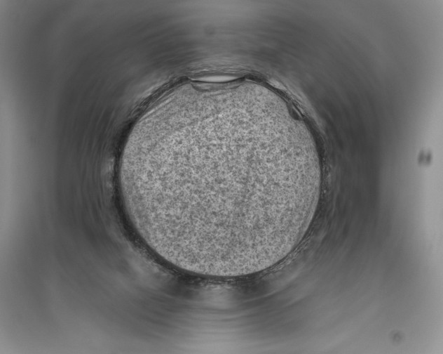 X0000096440066200802211220