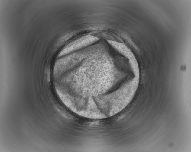 X0000096440068200802211220