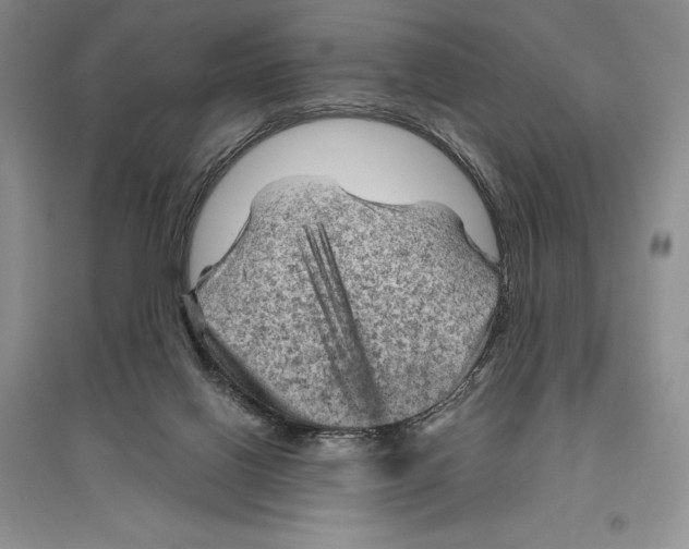 X0000096440070200802211220