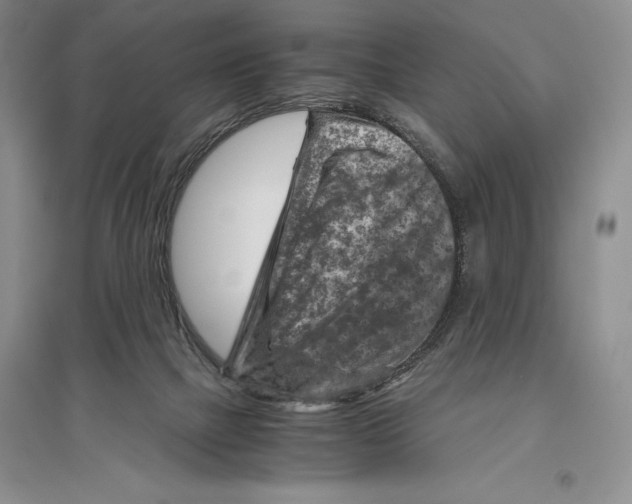 X0000096440073200802211220