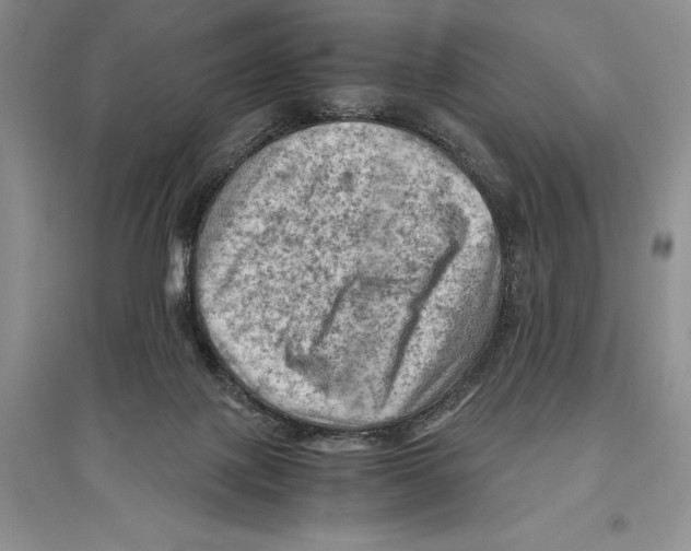 X0000096440075200802211220