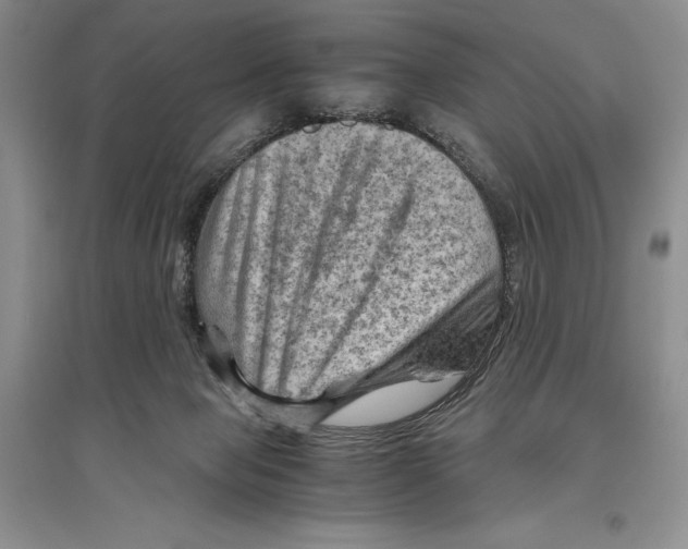 X0000096440077200802211220