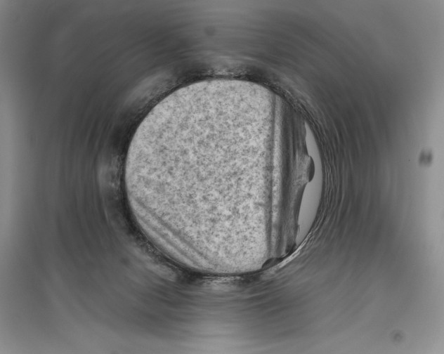 X0000096440078200802211220