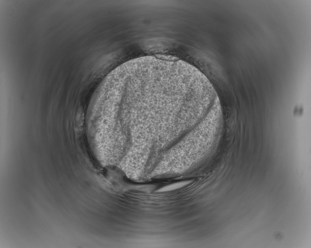 X0000096440081200802211220