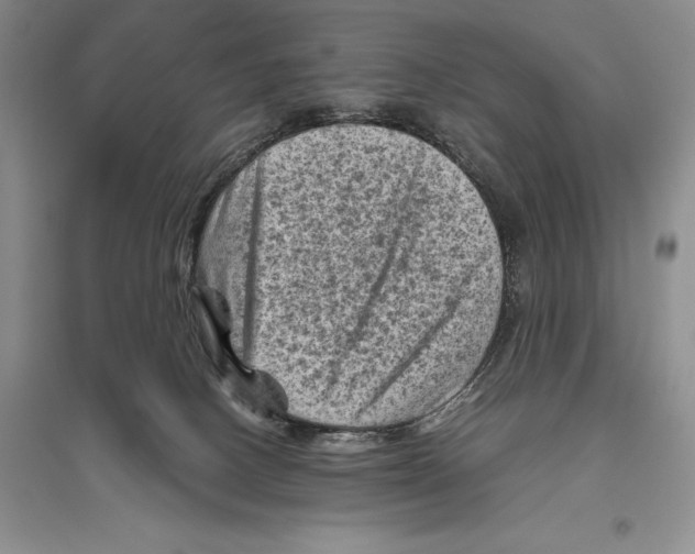 X0000096440082200802211220