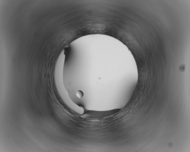 X0000096440083200802211220