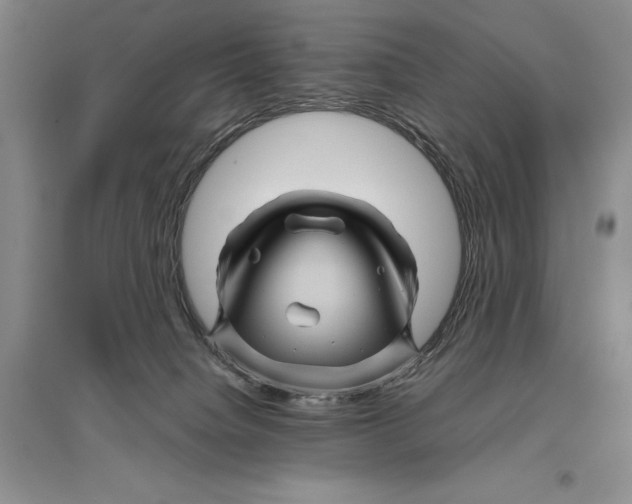 X0000096440084200802211220