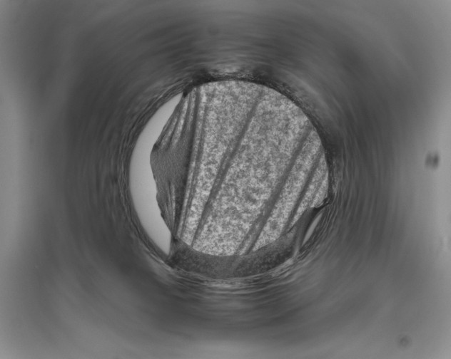 X0000096440085200802211220