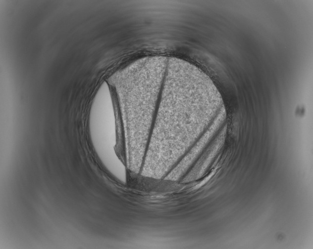 X0000096440086200802211221