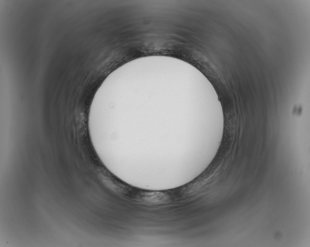 X0000096440087200802211221