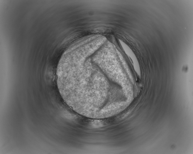 X0000096440091200802211221