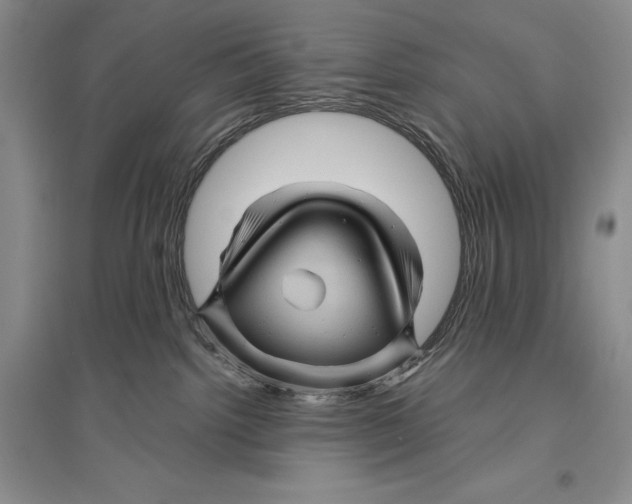 X0000096440092200802211221