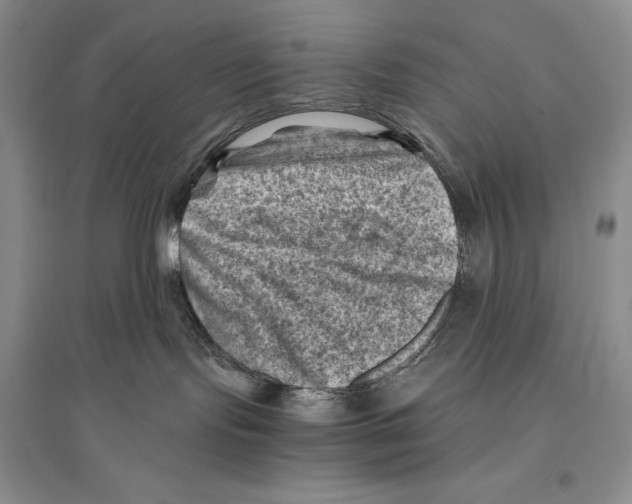 X0000096440095200802211221