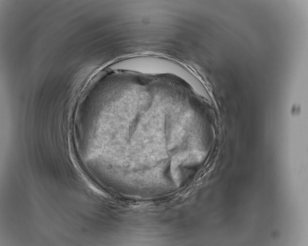 X0000096440097200802211220