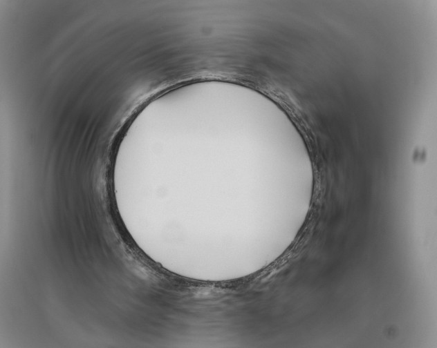 X0000096440098200802211220