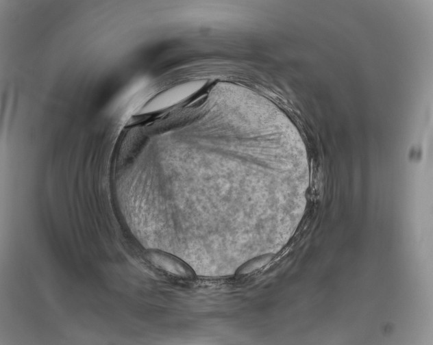 X0000096440099200802211220