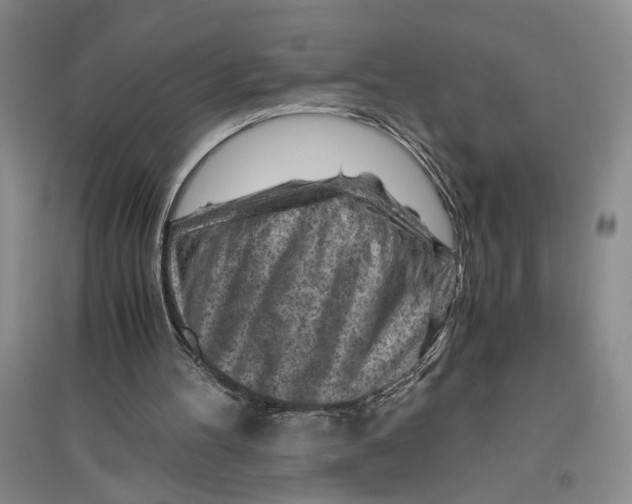 X0000096440100200802211220