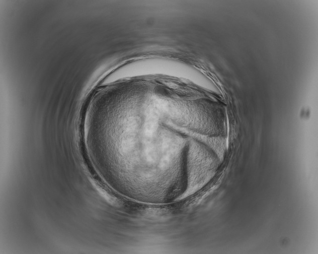 X0000096440101200802211220