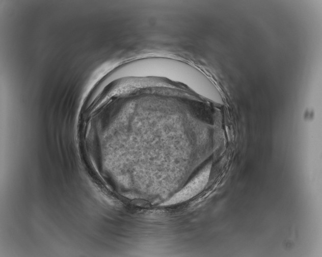 X0000096440104200802211220