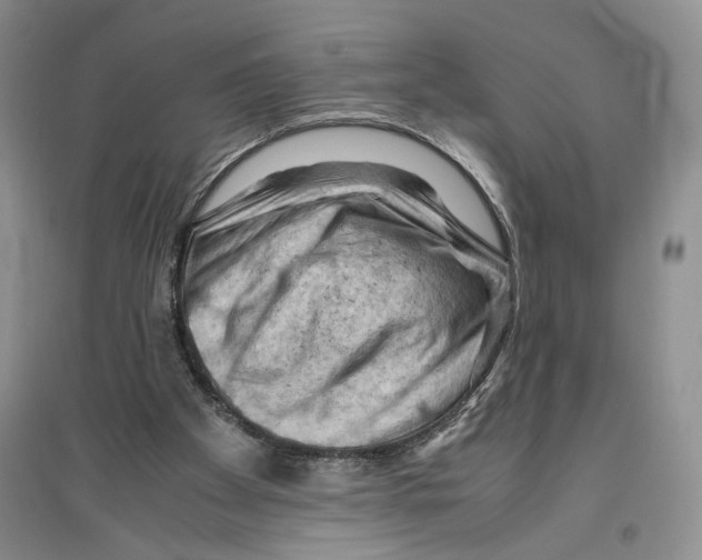 X0000096440105200802211220